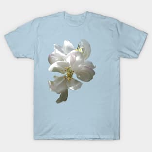 Apple Blossom T-Shirt